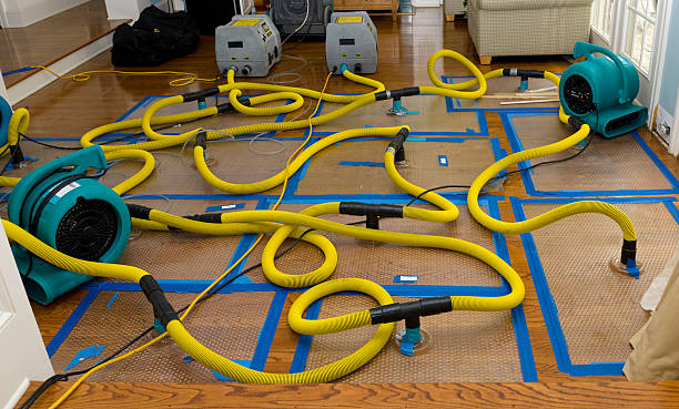 Professional Sewage Cleanup technician working in Webster, FL